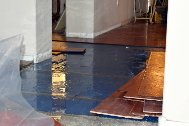 Professional Water Damage Restoration technician working in Streeter, ND